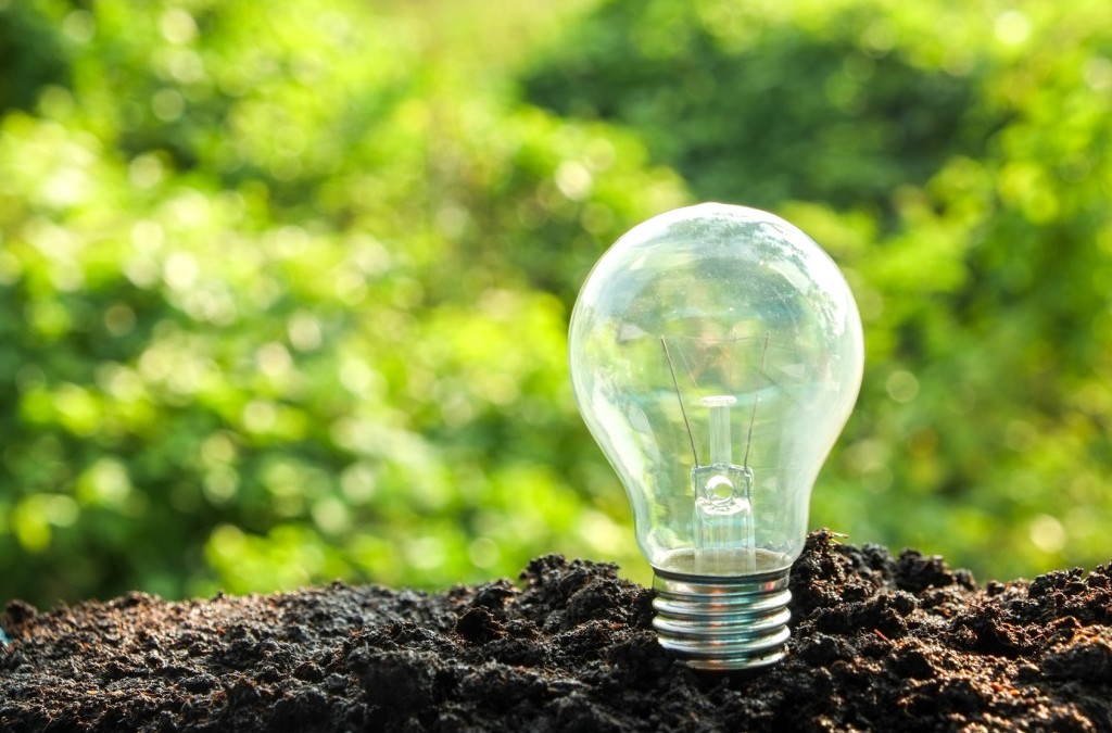 Incandescent lightbulb screwed into dirt with greenery in the background