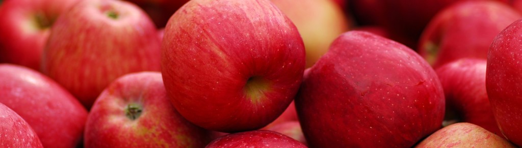 Comparing Apples to Apples: EnergyStar Makes You Shine