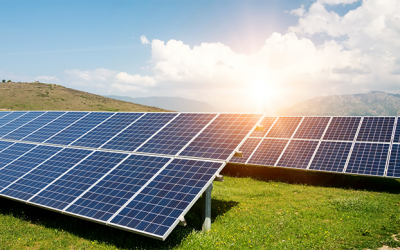 Will Solar Energy Really Save Your Organization Money?