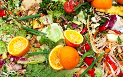 Growing Trend to Reduce and Regulate Organic Waste