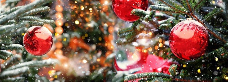 gifts that save energy and reduce waste | close-up of red ornaments on evergreen tree | Cost Control Associates